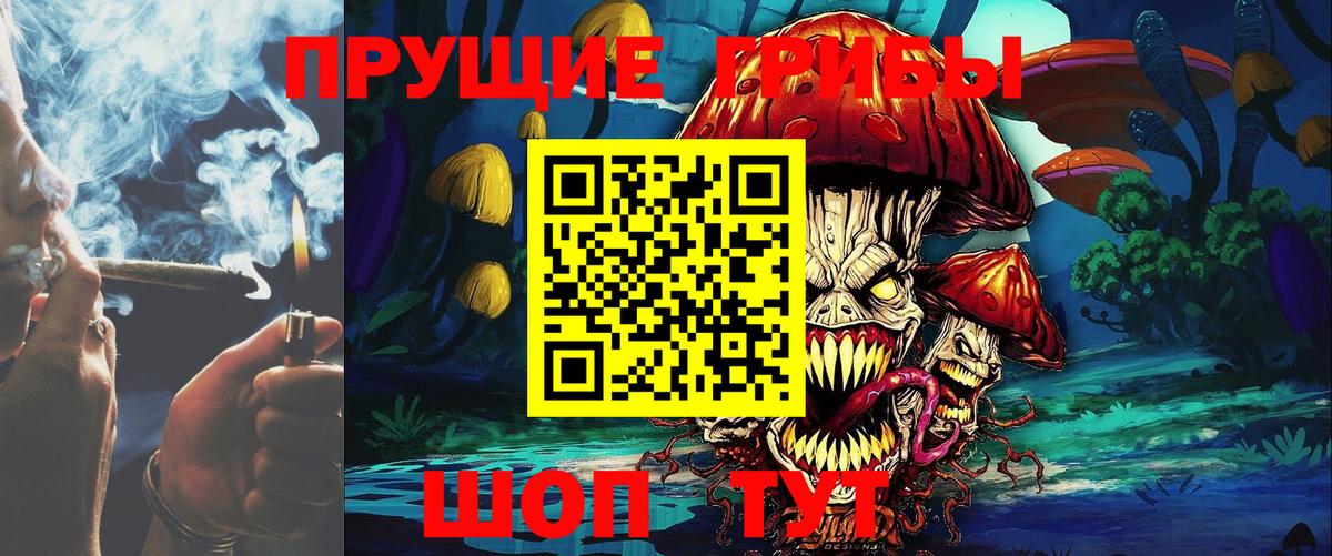 Галлюциногенные грибы Psilocybine cubensis Надым
